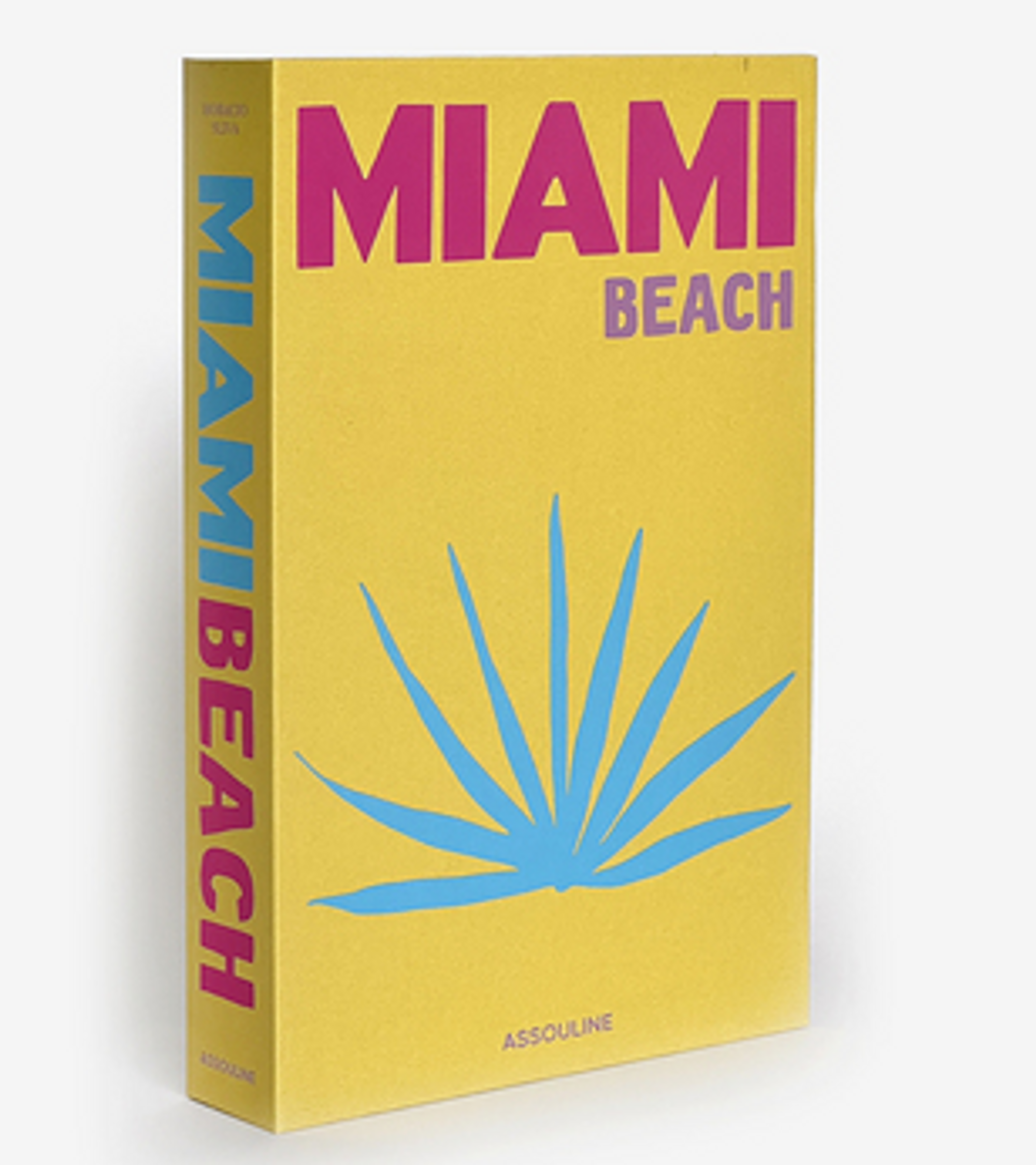 Decorative Faux Books