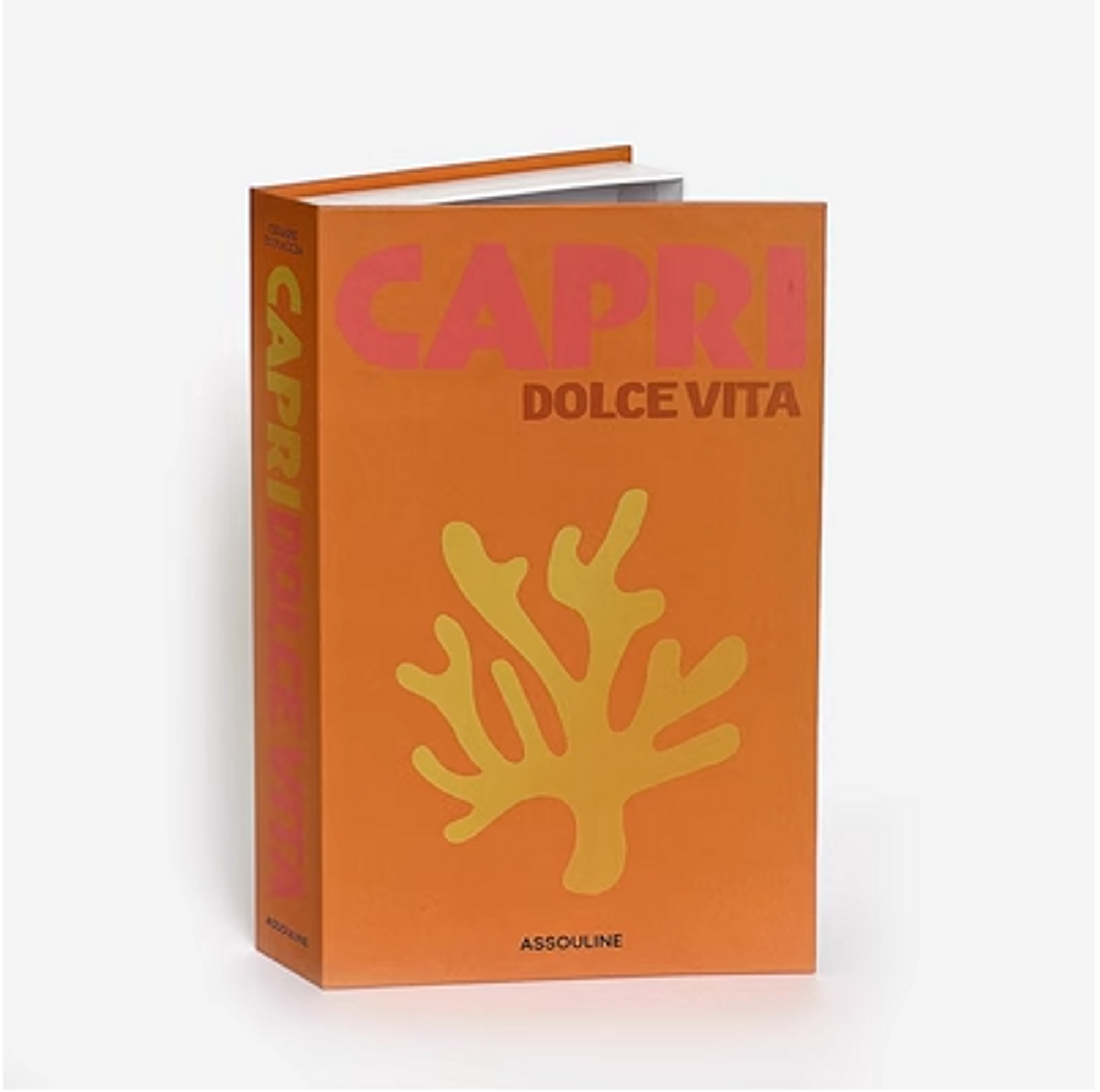 Decorative Faux Books